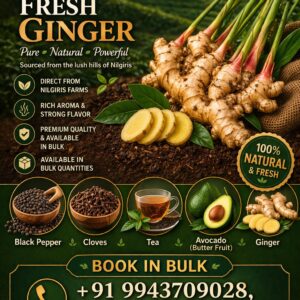 Fresh Ginger