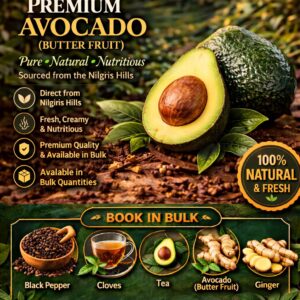 Avocado (Butter Fruit)